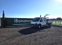 Fiat Ducato 7 posti con cassone e gru Fassi F26 usato 2018