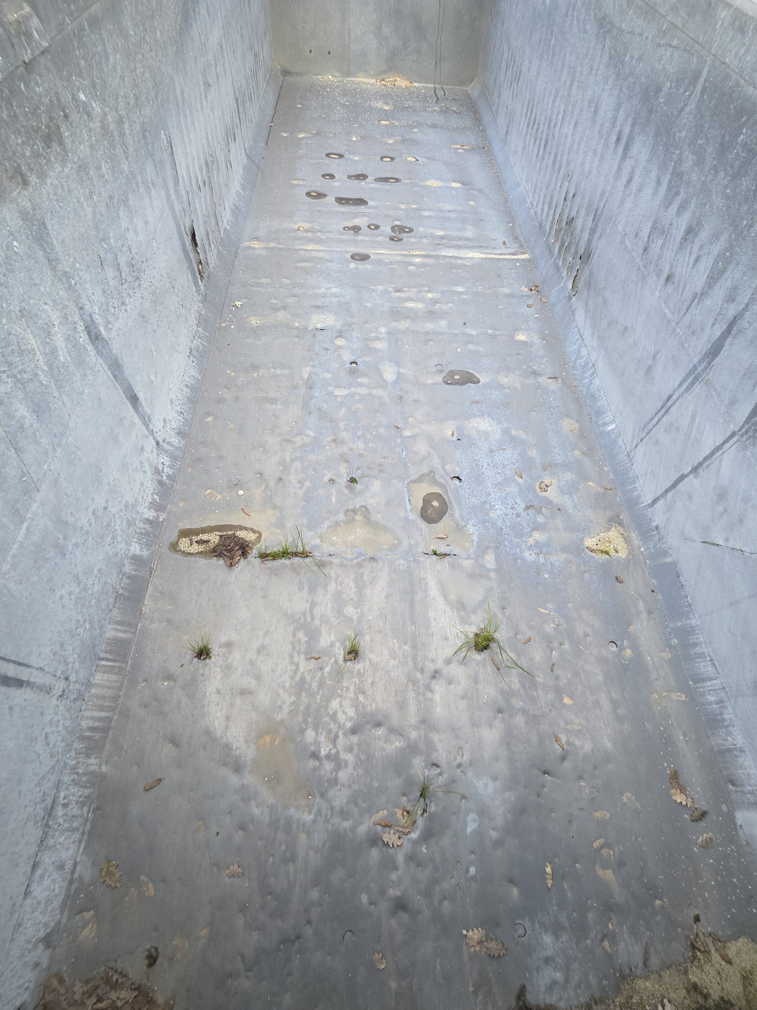 Semirimorchio ribaltabile Menci con cassa in alluminio da 26mc e telo elettrico Cramaro