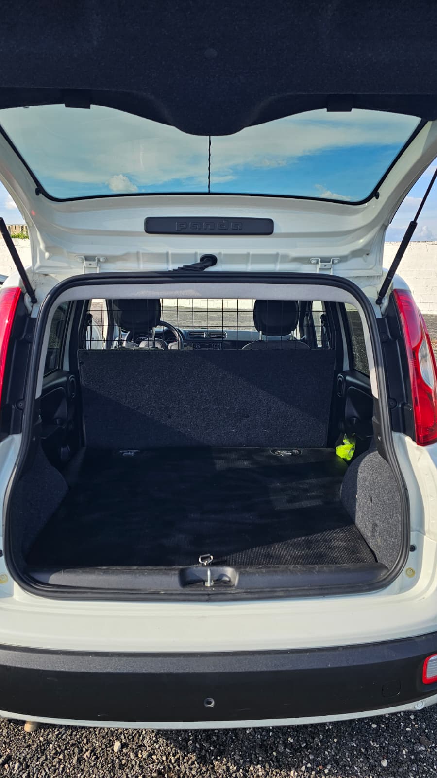 Fiat Panda Van autocarro 1.0 Hybrid 2018 Euro 6D usato certificato iBonanomi