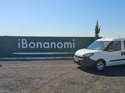 Fiat Doblò autocarro N1 5 posti usato