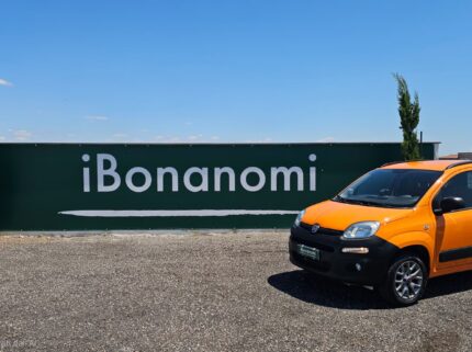 Fiat Panda 4x4 Van 1.3 Multijet usata