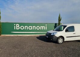 Renault Kangoo Euro 6D usato,