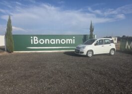 Fiat Panda autocarro 4 posti usata presso la sede iBonanomi