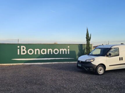 Fiat Doblò Maxi usato 2021, vista laterale completa