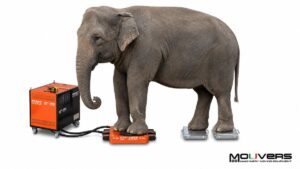 Carrelli per spostare macchinari Apollo Mouvers con elefante come carico dimostrativo